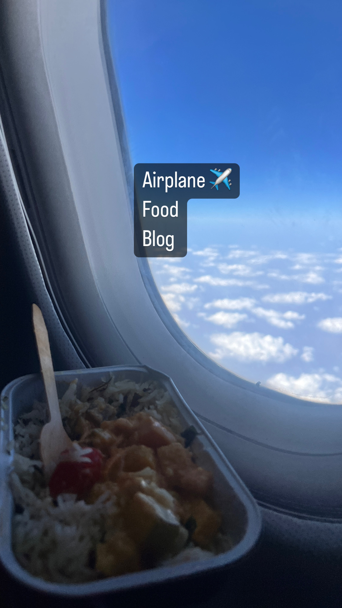 Airplane Vlog food india